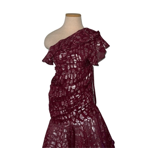 NWT Veronica Bear Leighton Dress Size 0 - Picture 11 of 16